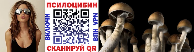 Псилоцибиновые грибы Psilocybe Нурлат